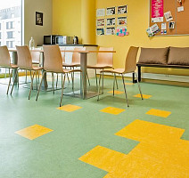 Marmoleum Modular t3251 lemon zest фото 2 | FLOORDEALER